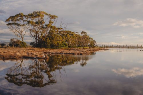 Ahuriri Estuary April 2022 11 1