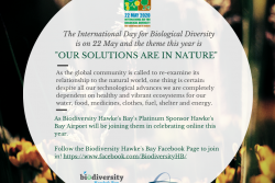 Hawke's Bay Airport Ltd supports Biodiversity 