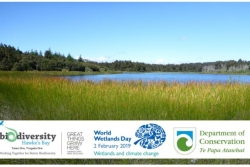 Wetlands and Climate Change, World Wetlands Day 2019