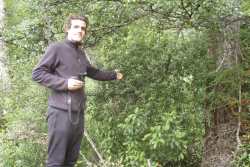 Local biodiversity grant helps mistletoe recovery