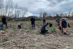 Many hands make fast work at Maraekākaho!