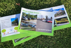 Grant recipient shares the importance of Urban Green