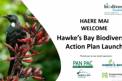 Hawke's Bay Biodiversity Action Plan 2021 - 2025 Launch