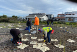 Volunteers brave a chilly start to plant at Te Taha