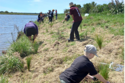 Biodiversity Hawke’s Bay contestable fund opens