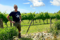 Rethinking the vineyard environment: Hawke’s Bay winegrower implements biodiversity