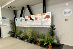 Hawke’s Bay Airport celebrates Biodiversity Week