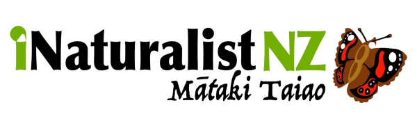 iNaturalistNZ logo
